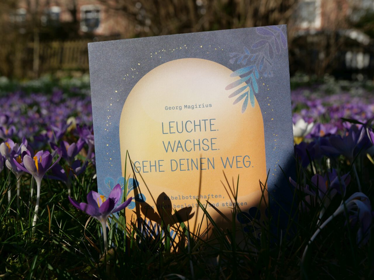 Leuchte. Wachse. Gehe deinen Weg - Coppenrath Verlag - Redaktion: Ursula Heeke