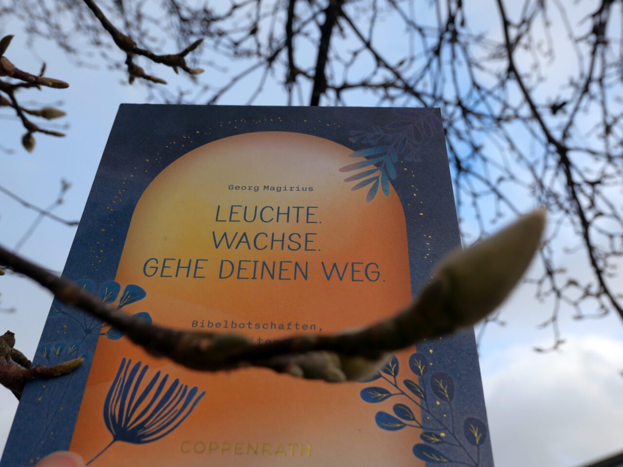 Die überraschende Effektivität der Fauhlheit - Foto (c) Georg Magirius