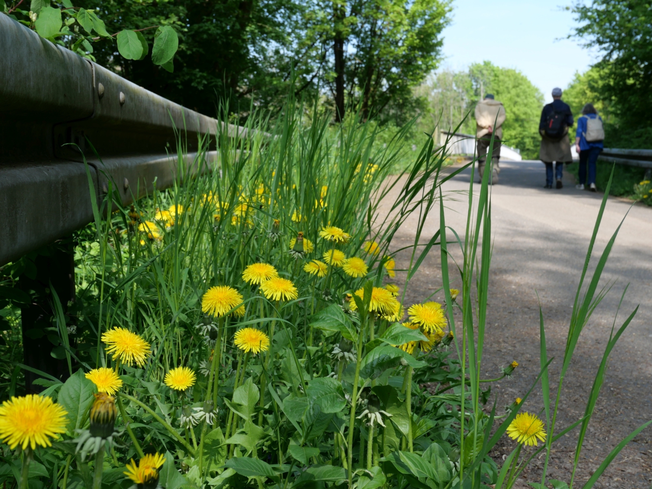 Gipfelglück im Flachland