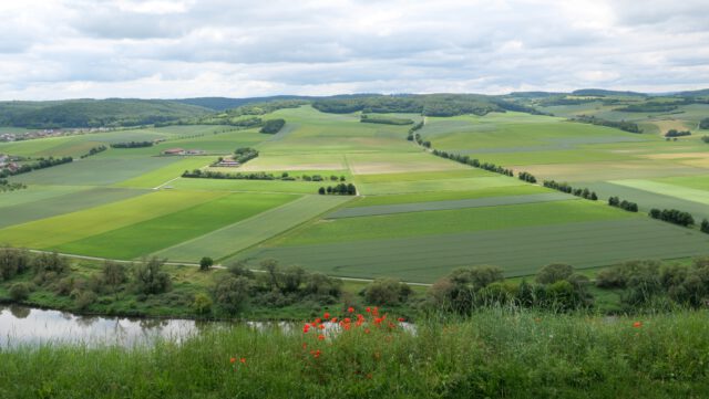 Ausblick vom Mainweg bei Karlstadt - das Buch Frankenliebe von Georg Magirius erfasse das Wesen Mainfrankens allein schon durch Wort und Bild, damit sei es gleichsam auch ein Wanderführer für Nichtwanderer