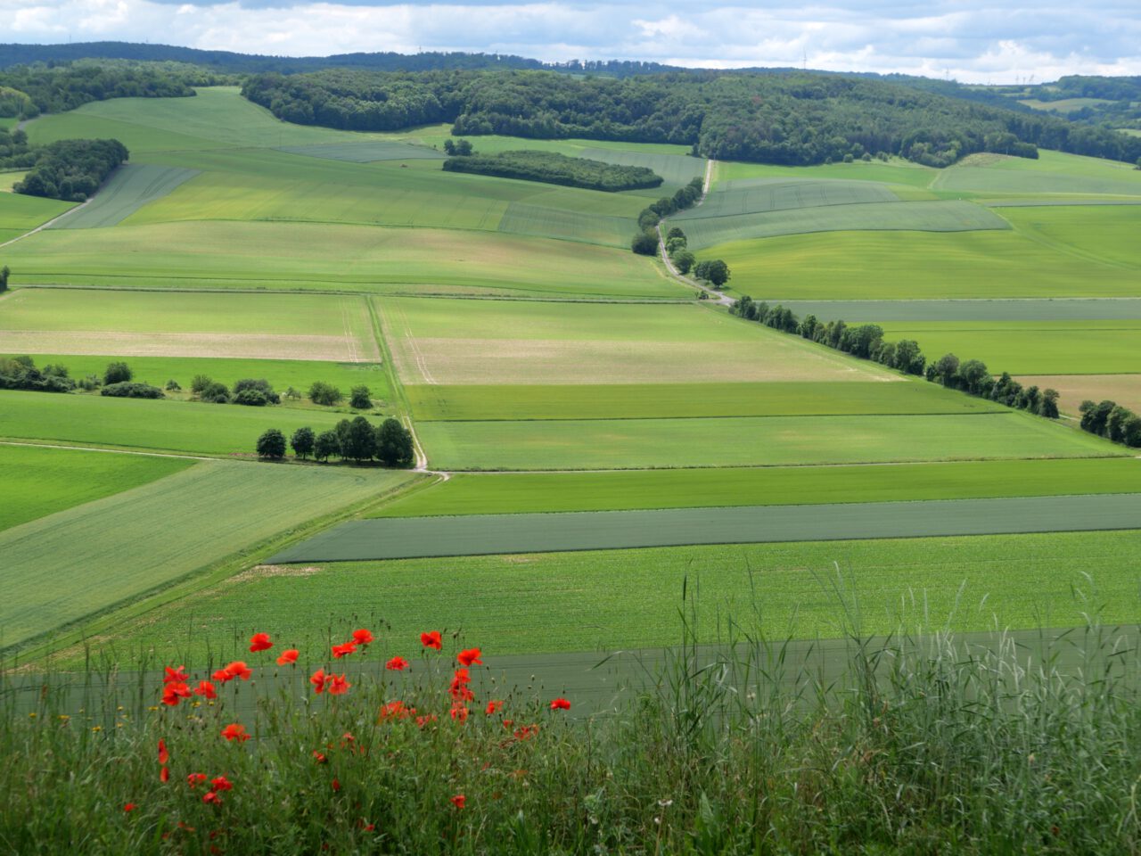 Die Liebespüfung - Station III: Gehen und Gleiten auf dem Mainweg bei Retzbach mit seinen fulminant steilen Abhängen. 