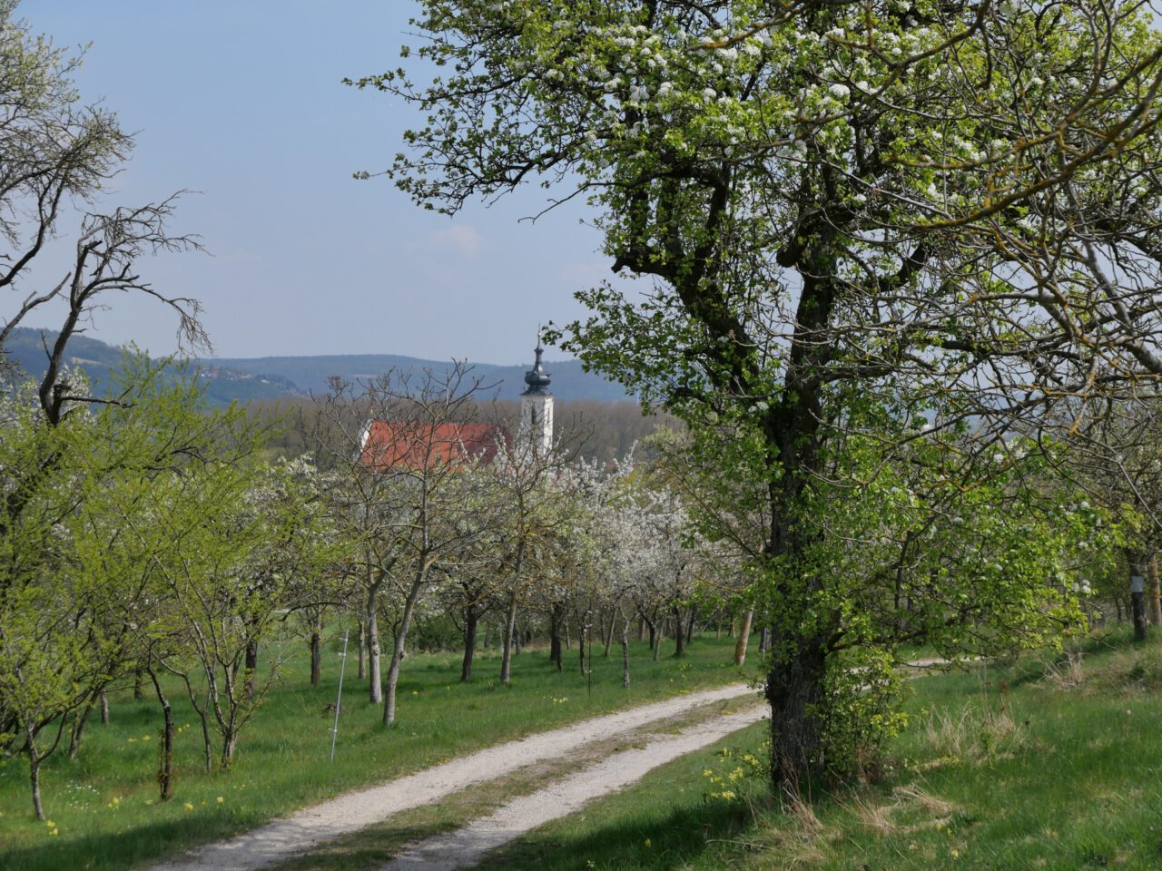 6 Pilgertipps für Bayern - zum Beispiel zur Wallfahrtskirche Maria Limbach - Foto (c) Georg Magirius