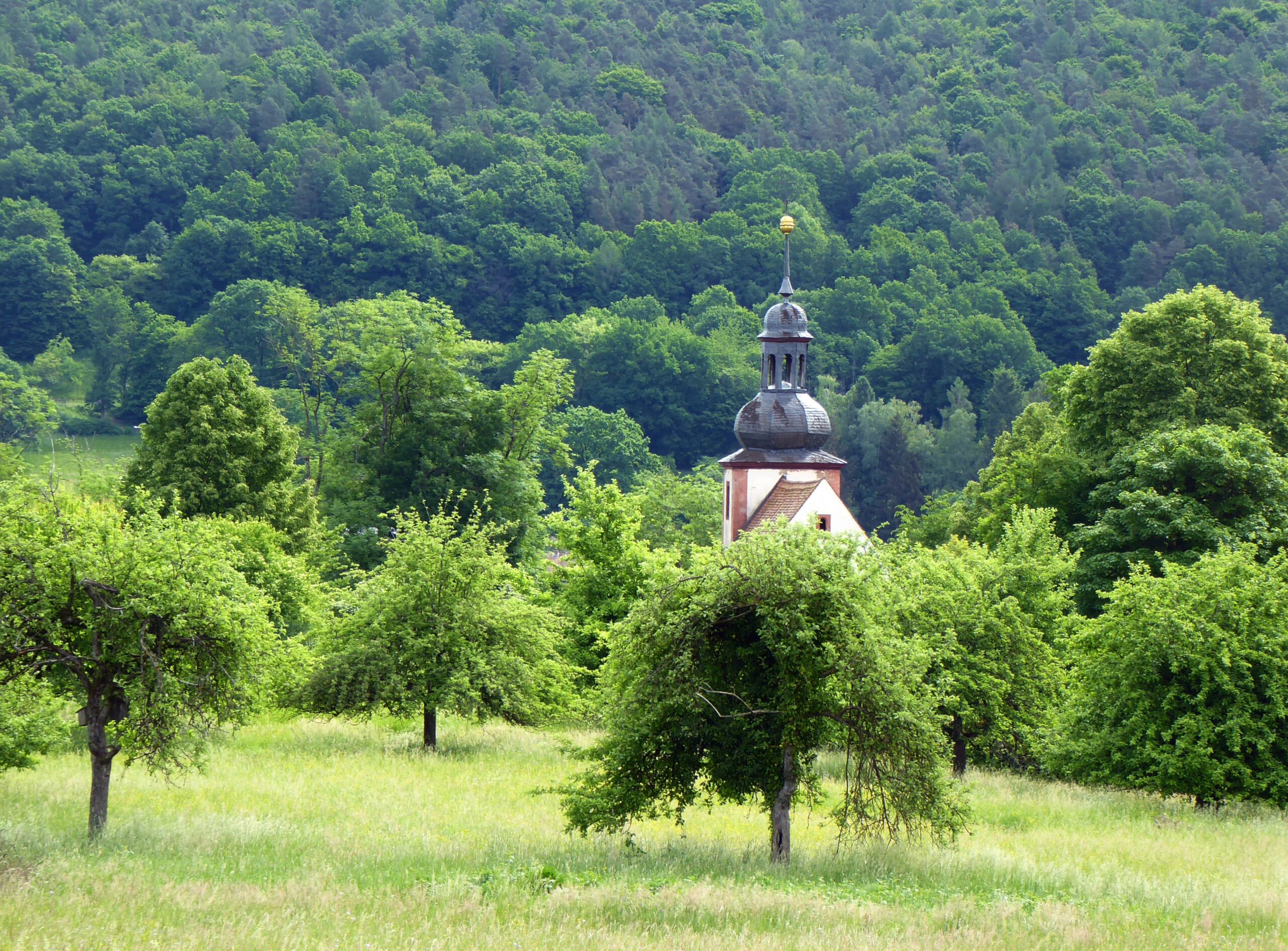 Die Gunst des Gegenteils - Michaelskapelle in Streuobstwiese bei Neustadt am Main - Station der Reihe GangART - Foto: Georg Magirius