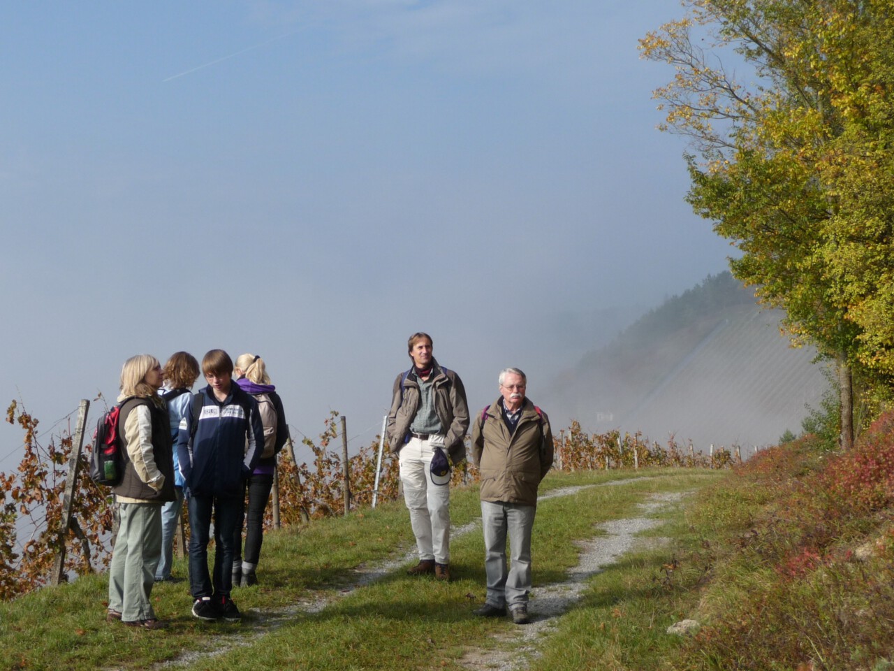 Kurz nach dem Nebelriss - Steinweinhütte Stetten bei Karlstadt