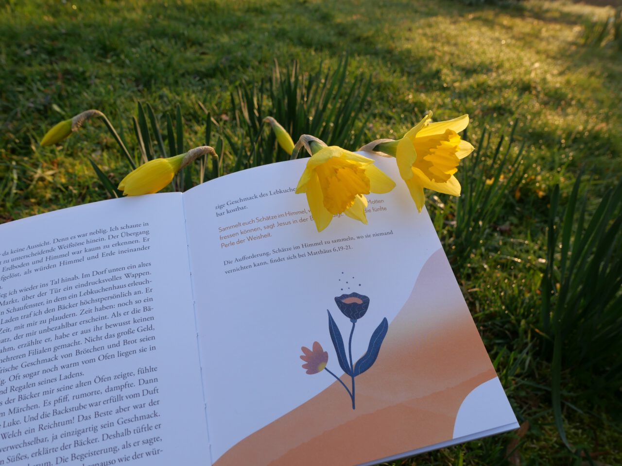 Marie zu Dohna: Illustrationen 