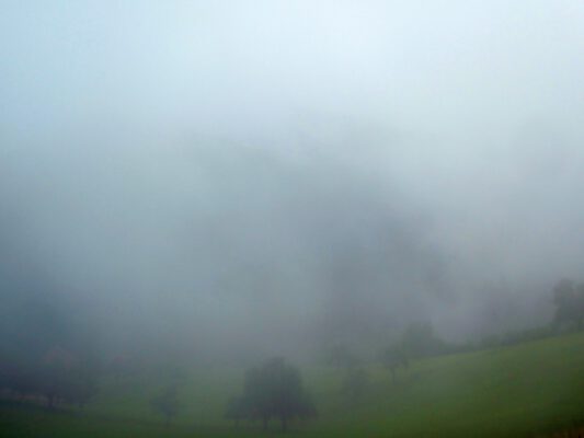 Mein innerer Schwarzwald