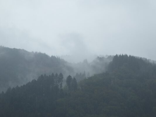 Mein innerer Schwarzwald