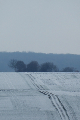 Stille und Schönheit einer Landschaft