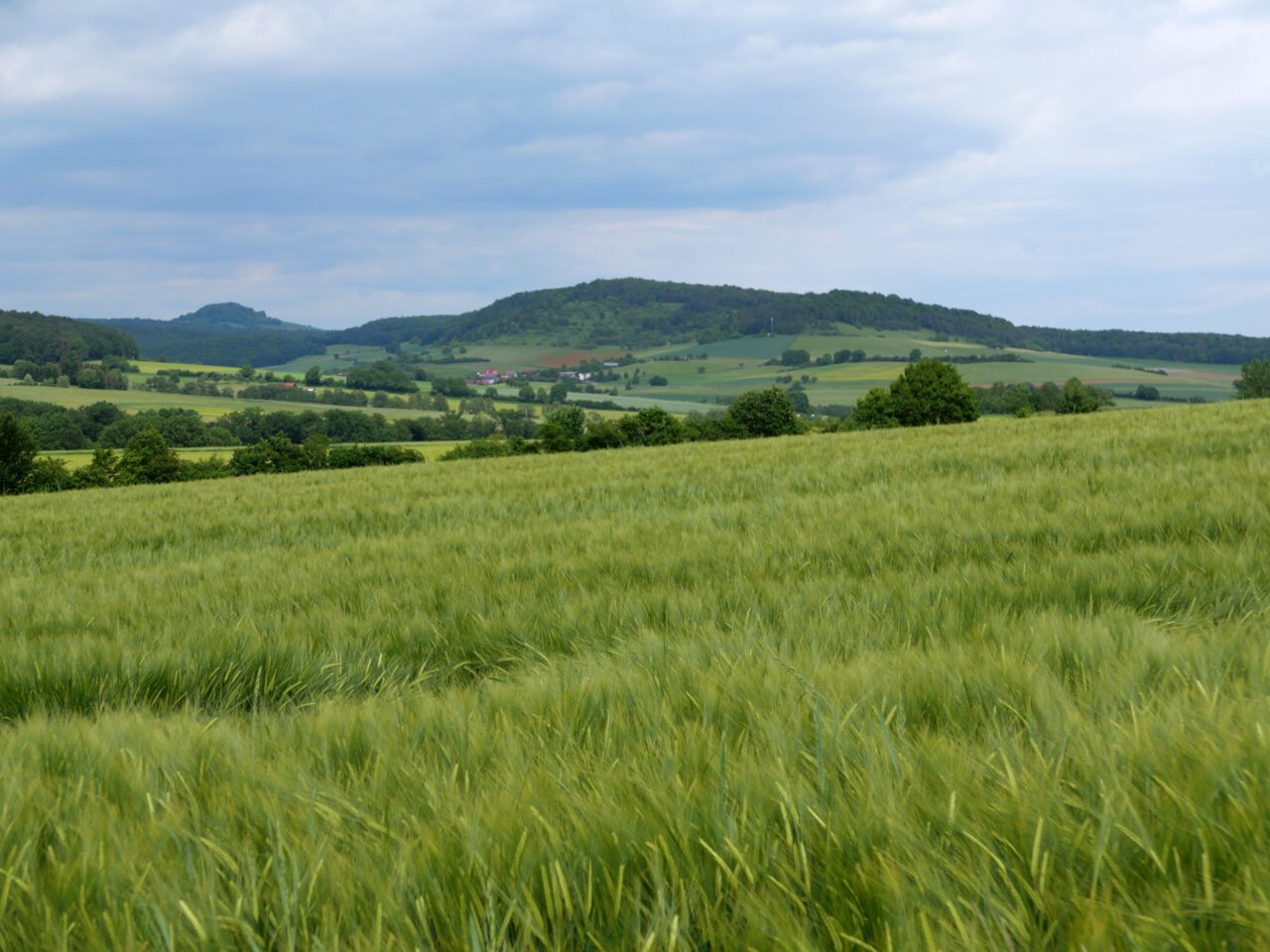 Blick von Ochsenthal ins Saaletal - Foto von Georg Magirius aus dem Buch Frankenliebe