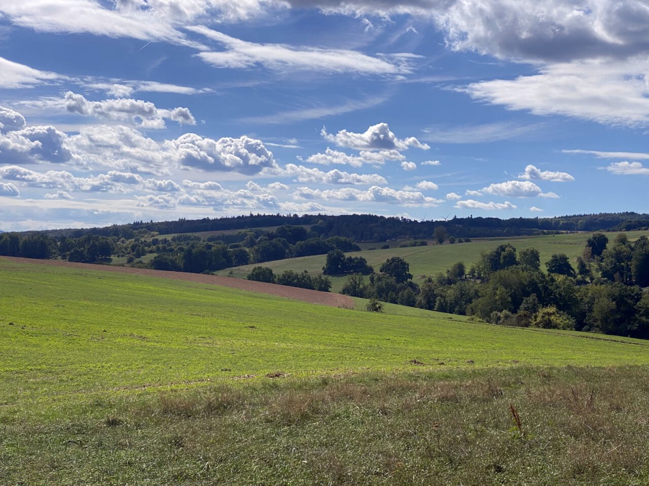 Auf dem Weg des Sonnengesangs von Steinbach nach Rehbach im Odenwald - Foto (c) Stefanie Adrian-Fiedler