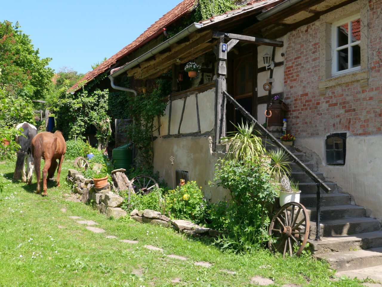 Können Tiere frommer sein als Menschen?