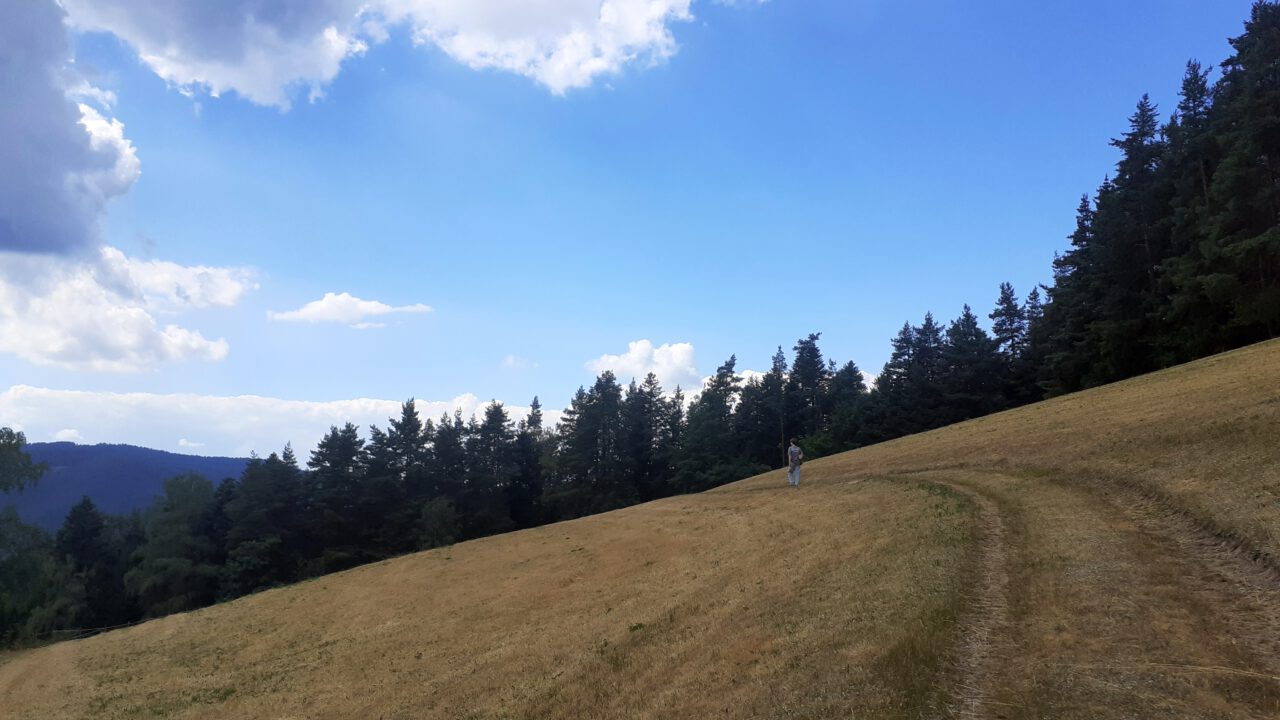 Der Pilger ist ein Amateur