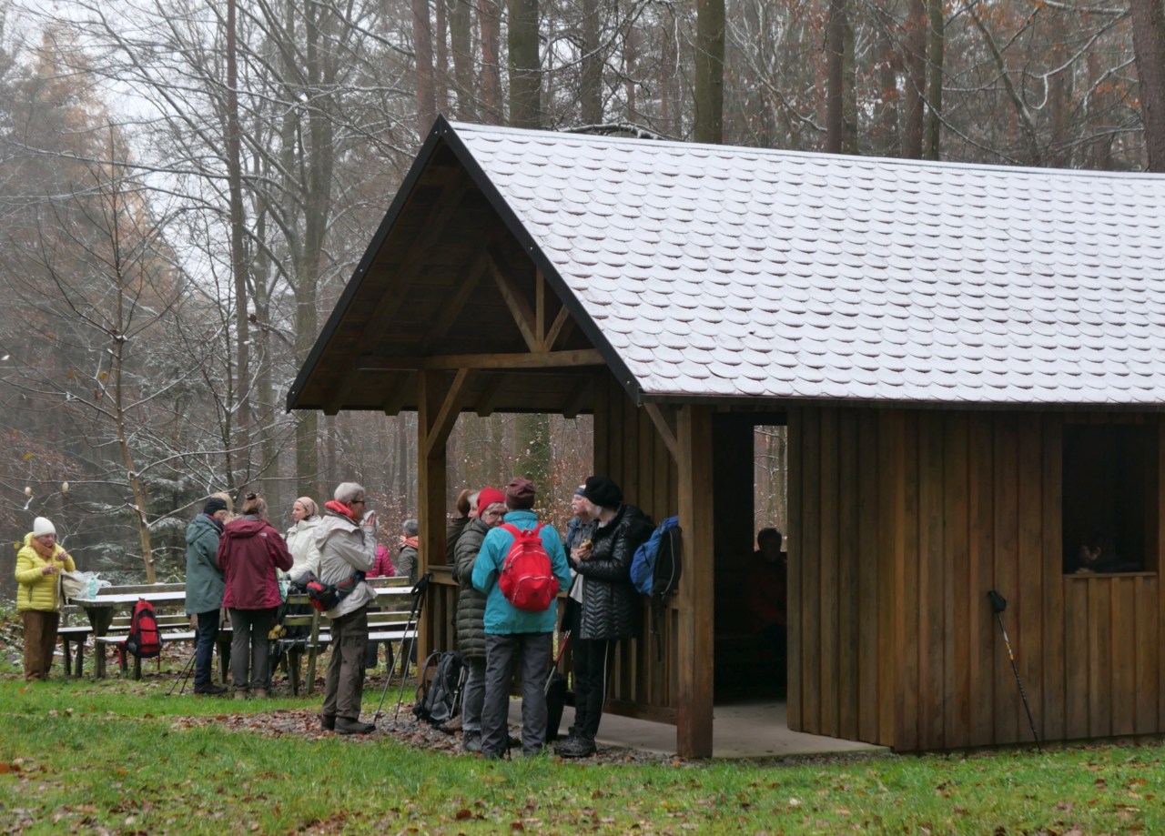 Lichtzufuhr im Winterwald - Fuß-Pils-Hütte