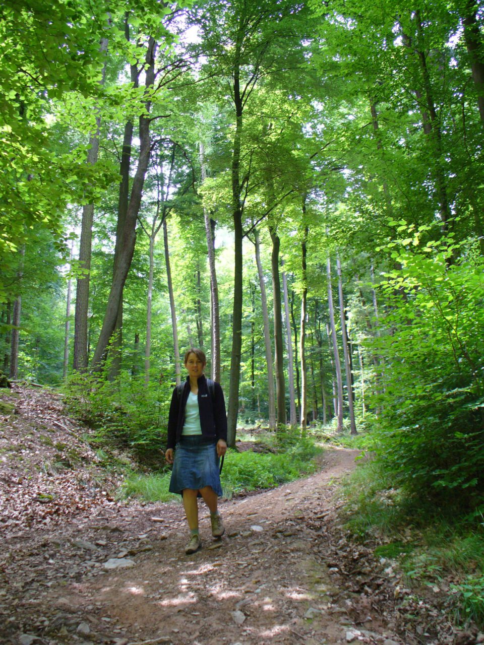 Der richtige Weg - Regina Westphal am Hahnenkamm