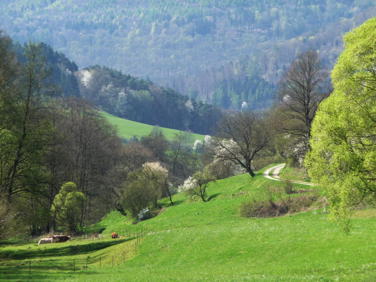 Was beim Beten geschieht, gleicht einem Weg in die Geborgenheit - Foto von Georg Magirius