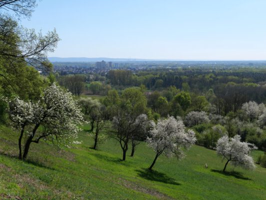 Gipfelglück im Flachland