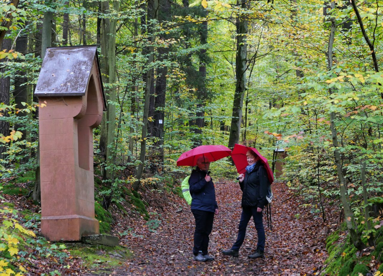 Treibjagd mit 9 Pilgern - Gefahrenfarbe Rot - Foto: Georg Magirius