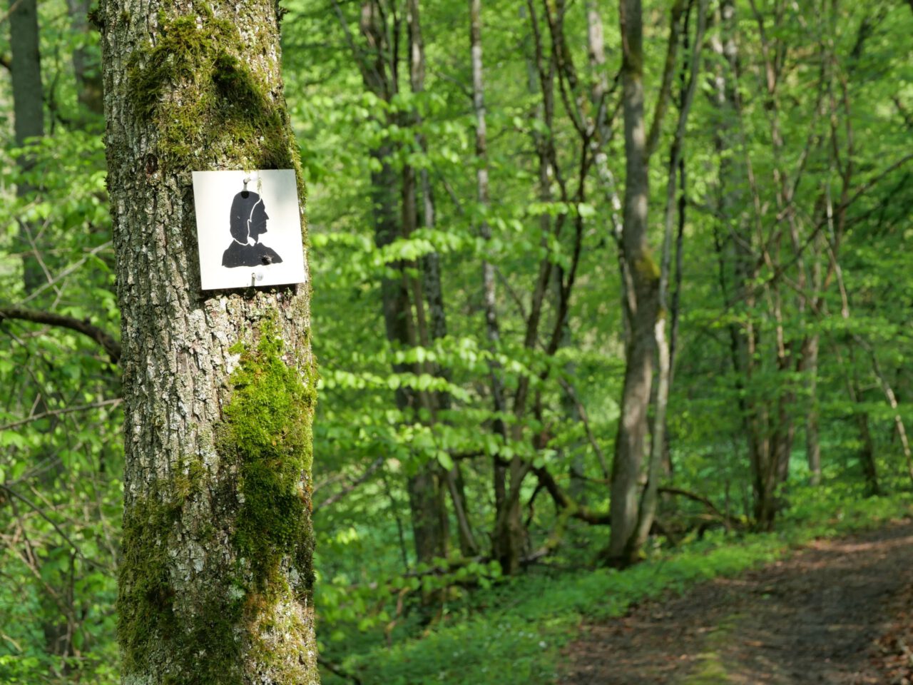 Dem Schnellgänger, Dieb und Dichter Friedrich Rückert ist ein Wanderweg gewidmet, der von Schweinfurt nach Coburg führt