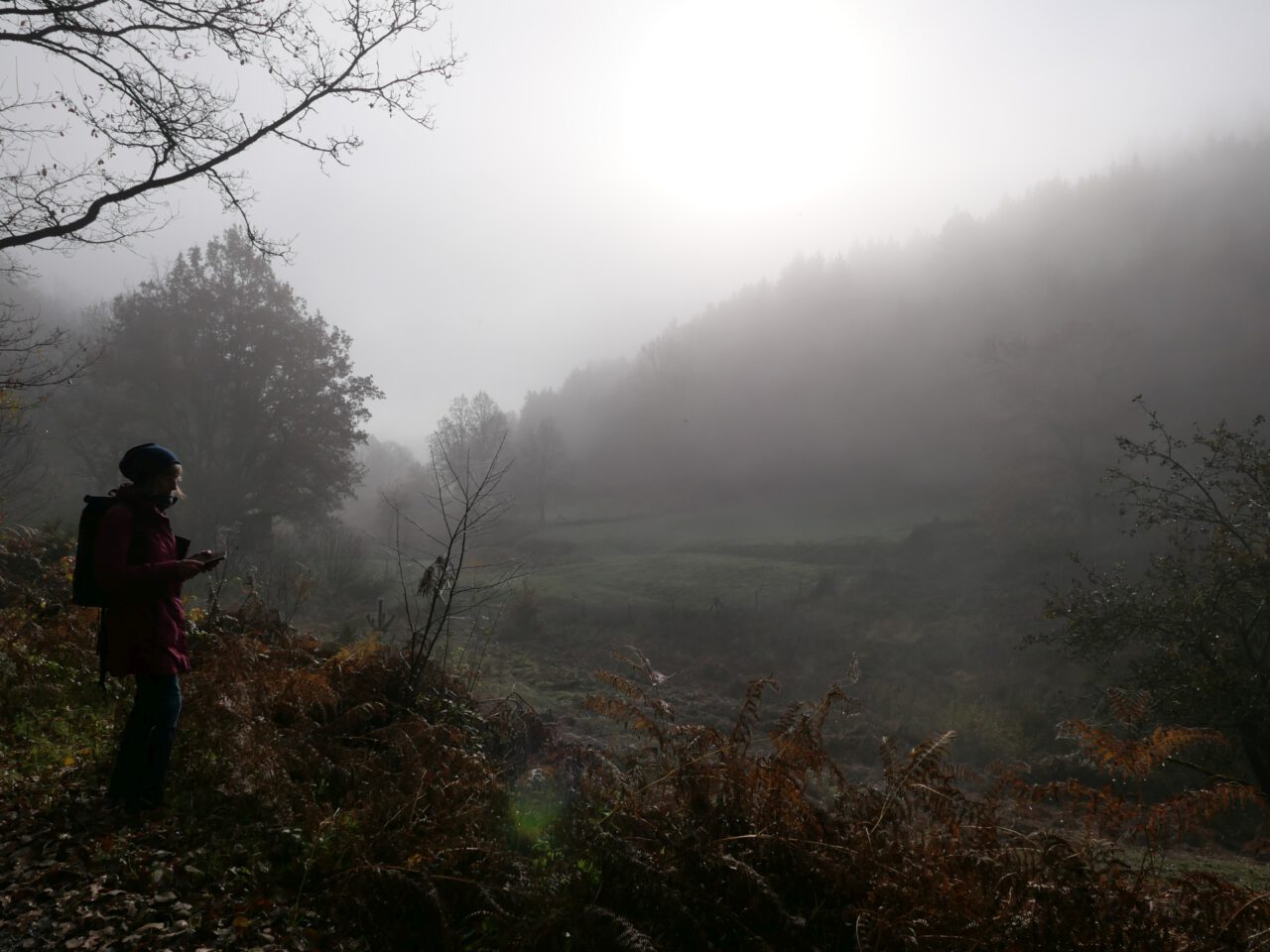 Sabine Schömig beim Gehen im Advent, über dem Nebel des Röhrengrunds bei Wiesthal - Foto (c) Georg Magirius