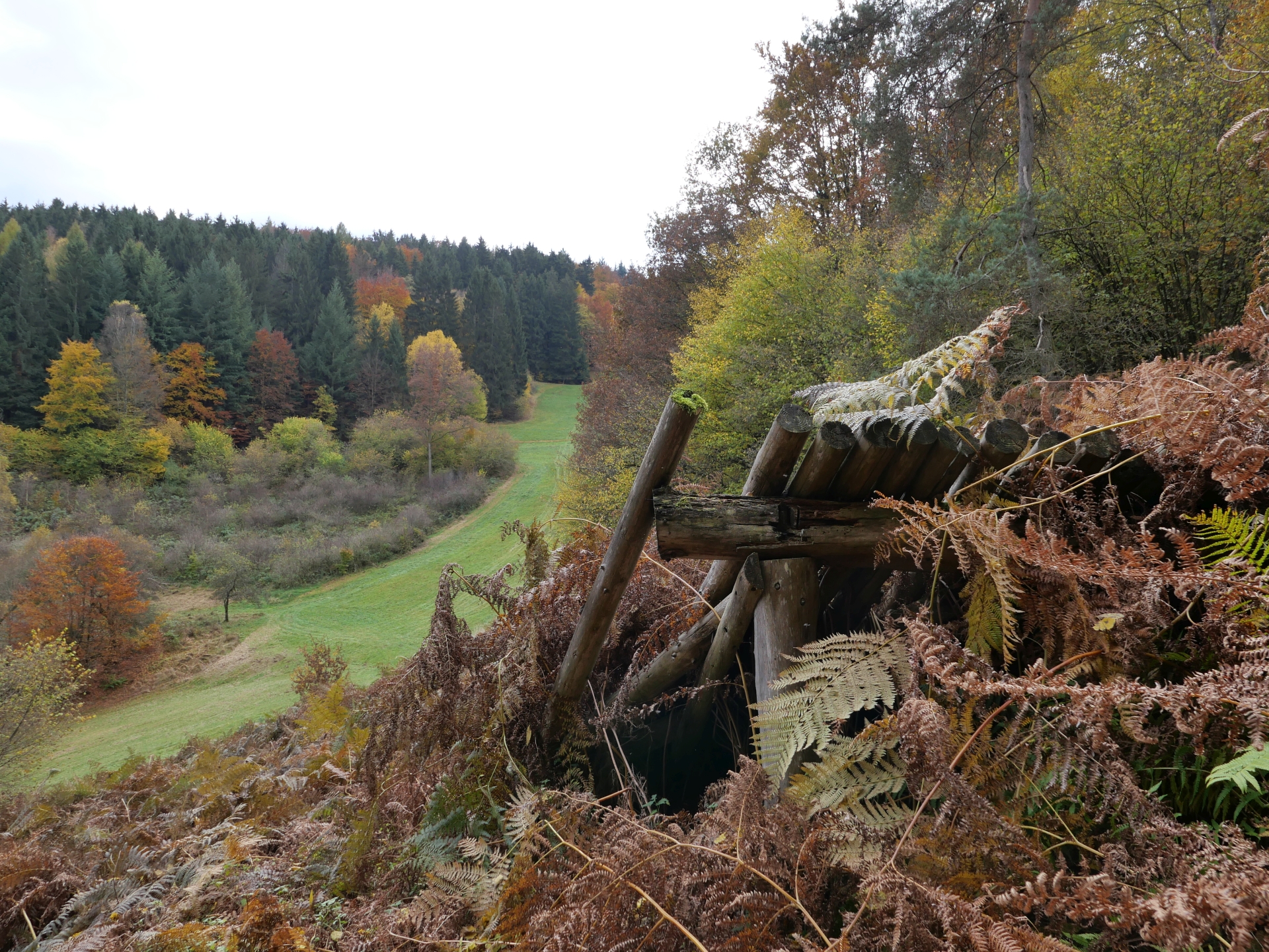 Adventwanderung im Spessartwald und zum Schanzentisch der Spessartschanze in Heigenbrücken