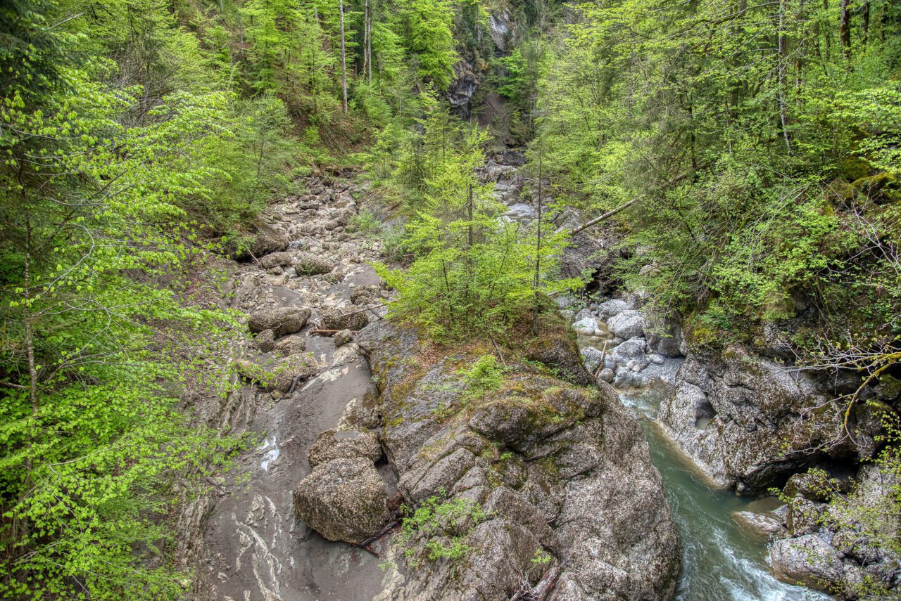 Aufstand für das Leben jetzt - Schlucht mit Bäumen - Foto von Gabriele Lässer