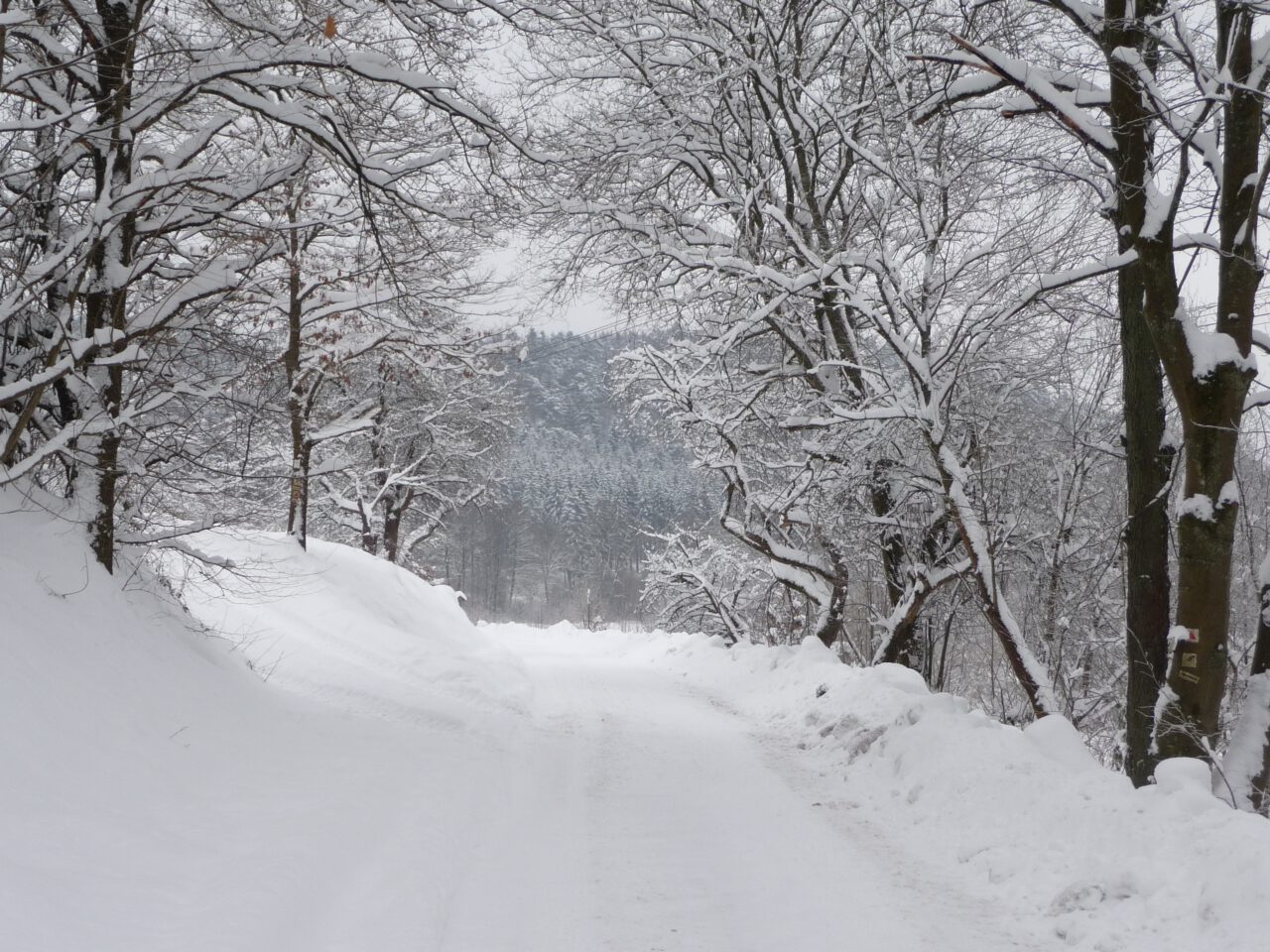 Schnee in Heigenbrücken - Evangelist Markus erzählt äußerst knapp von Weihnachten, eine frohe Botschaft für Weihnachtsmuffel