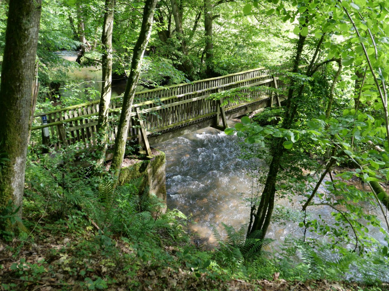 Die Liebesprüfung Station II: Queren der quirligen Schondra. 