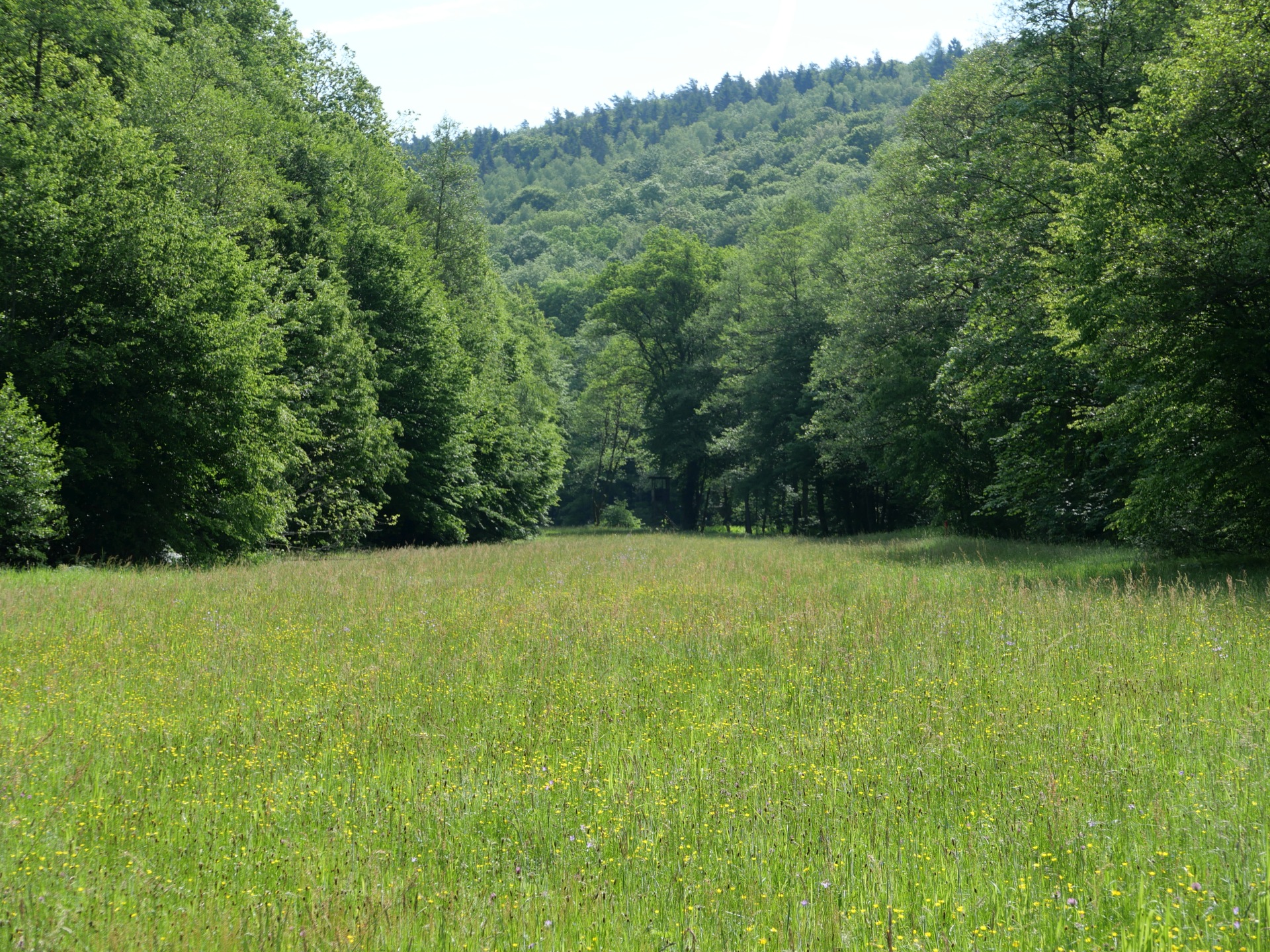 Schondratal - einer von 11 sommerlichen Reisetipps für Franken auf BR-Heimat