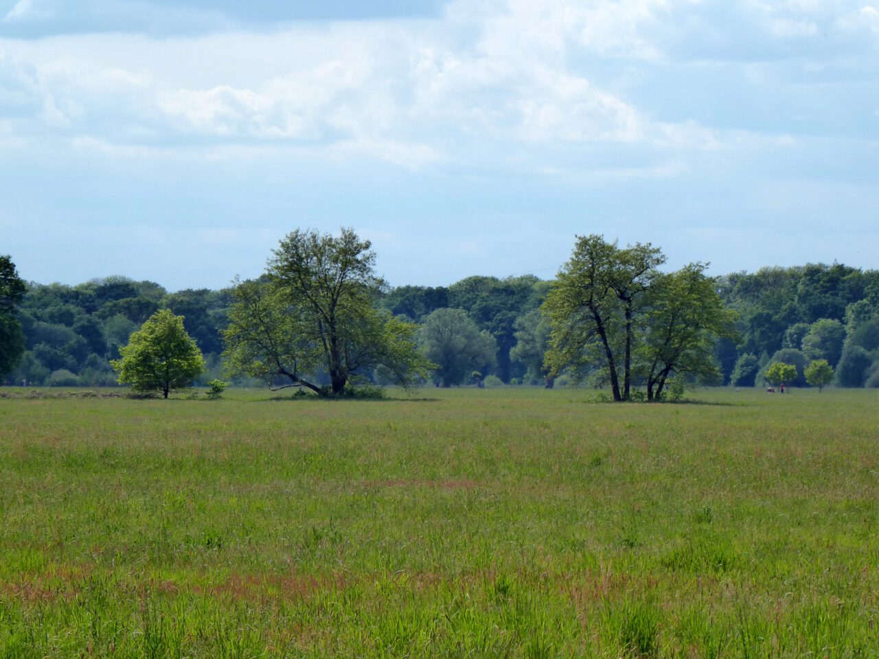 Stilleoasen in der Stadt