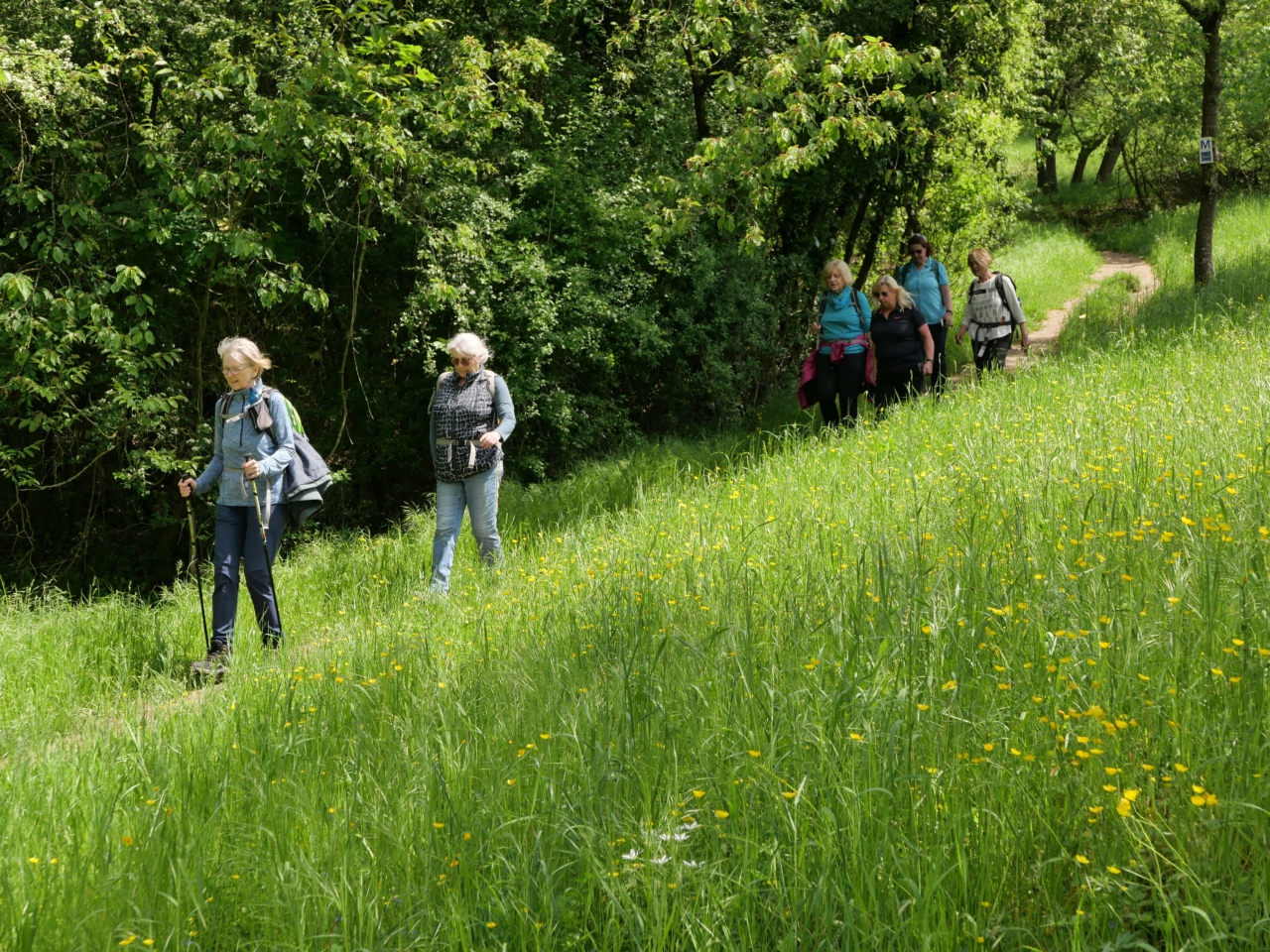 Schweben für Anfänger - eine Sonderausgabe der Reihe GangART - Foto (c) Georg Magirius