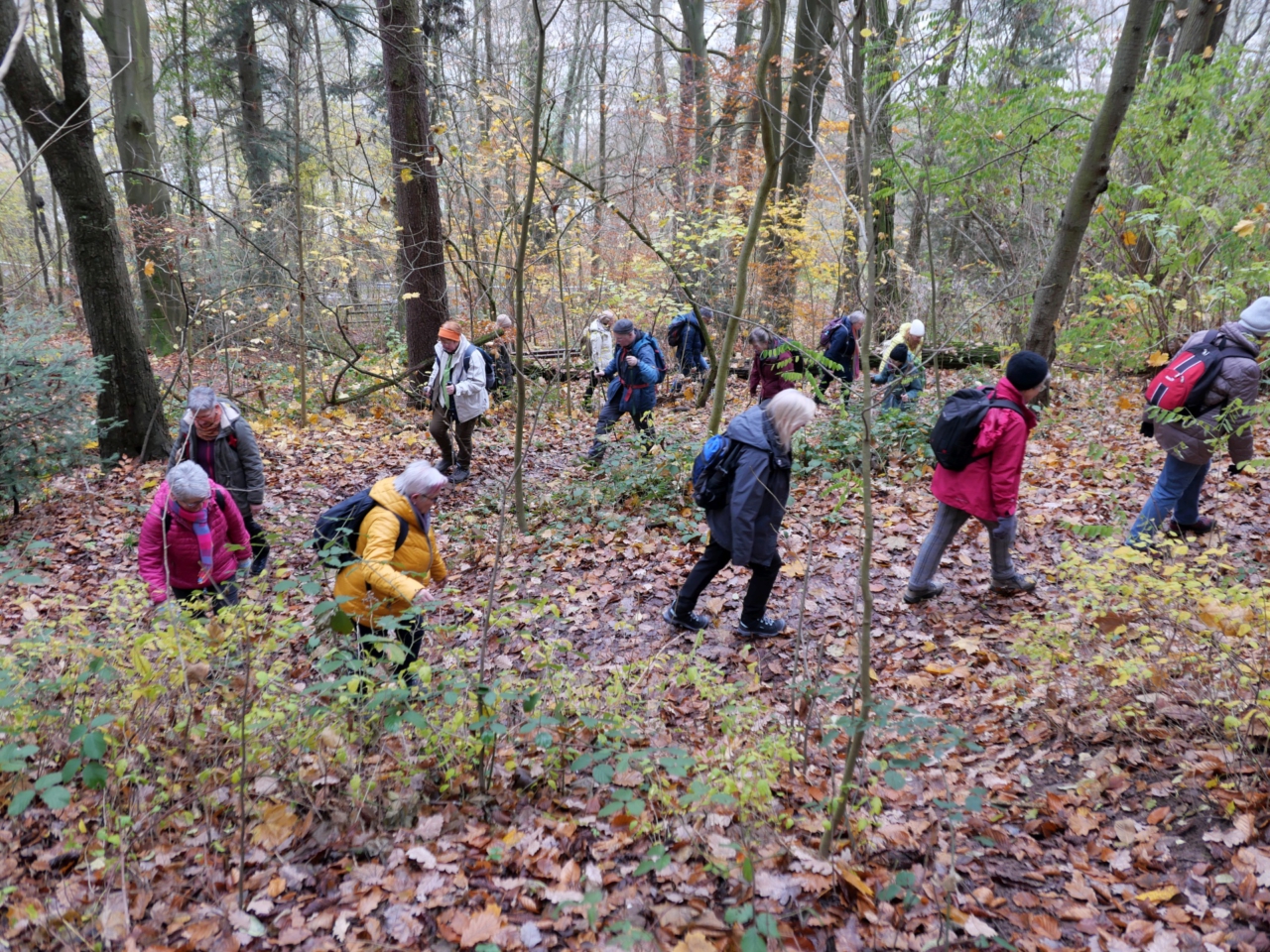 Serpentinenweg zum Sommerberg