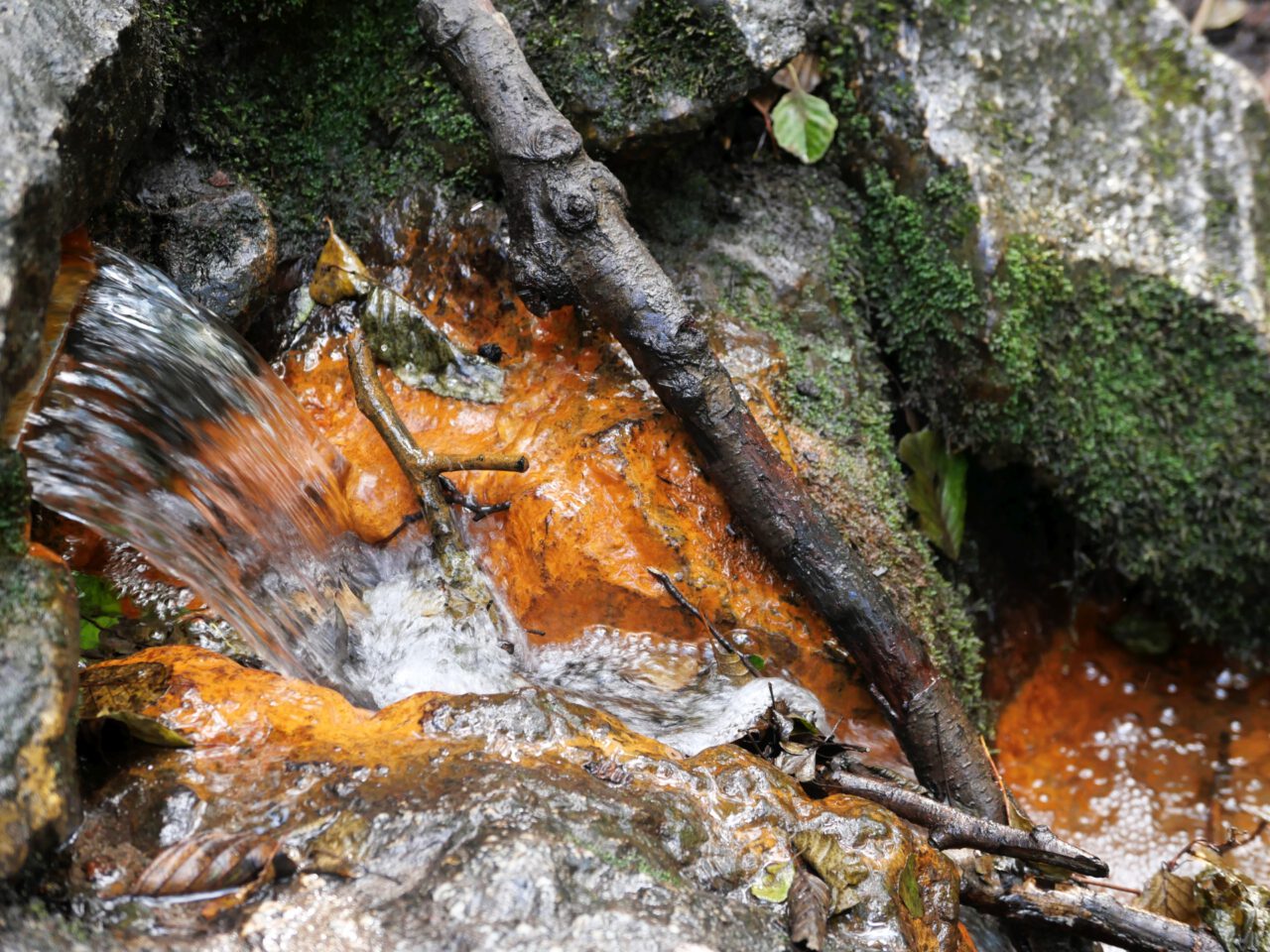 Advents-Wanderung zum Spekulatius-Brunnen