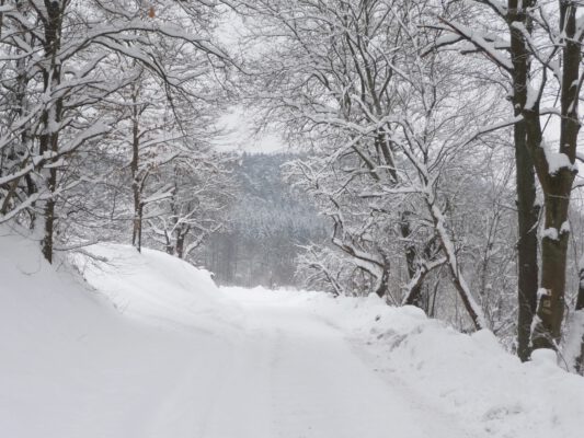 Adventswanderung im Spessartwald