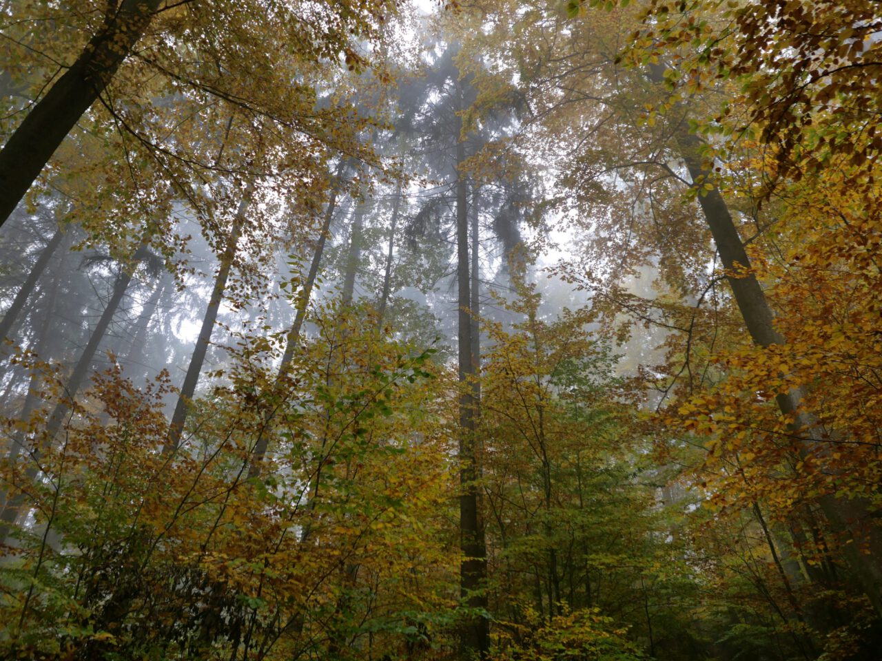 Aufgehoben in der Stille