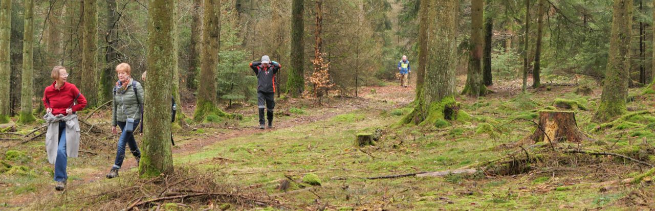 Veränderung im Schnelldurchlauf