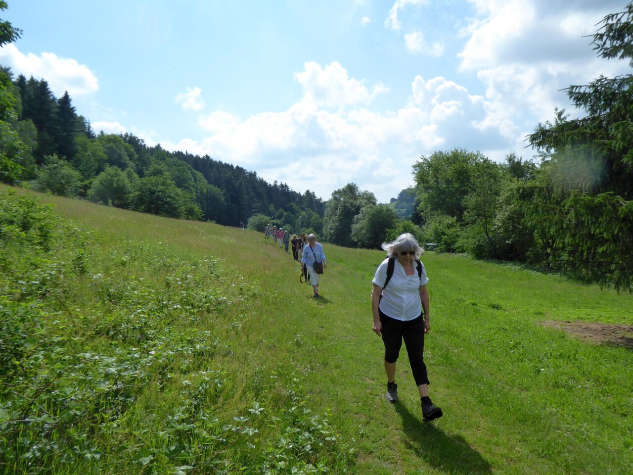 Weg durch die Stille - Station der Spirituellen Tagesttour "Der Glanz des grünen Sommergolds - Foto. Georg Magirius