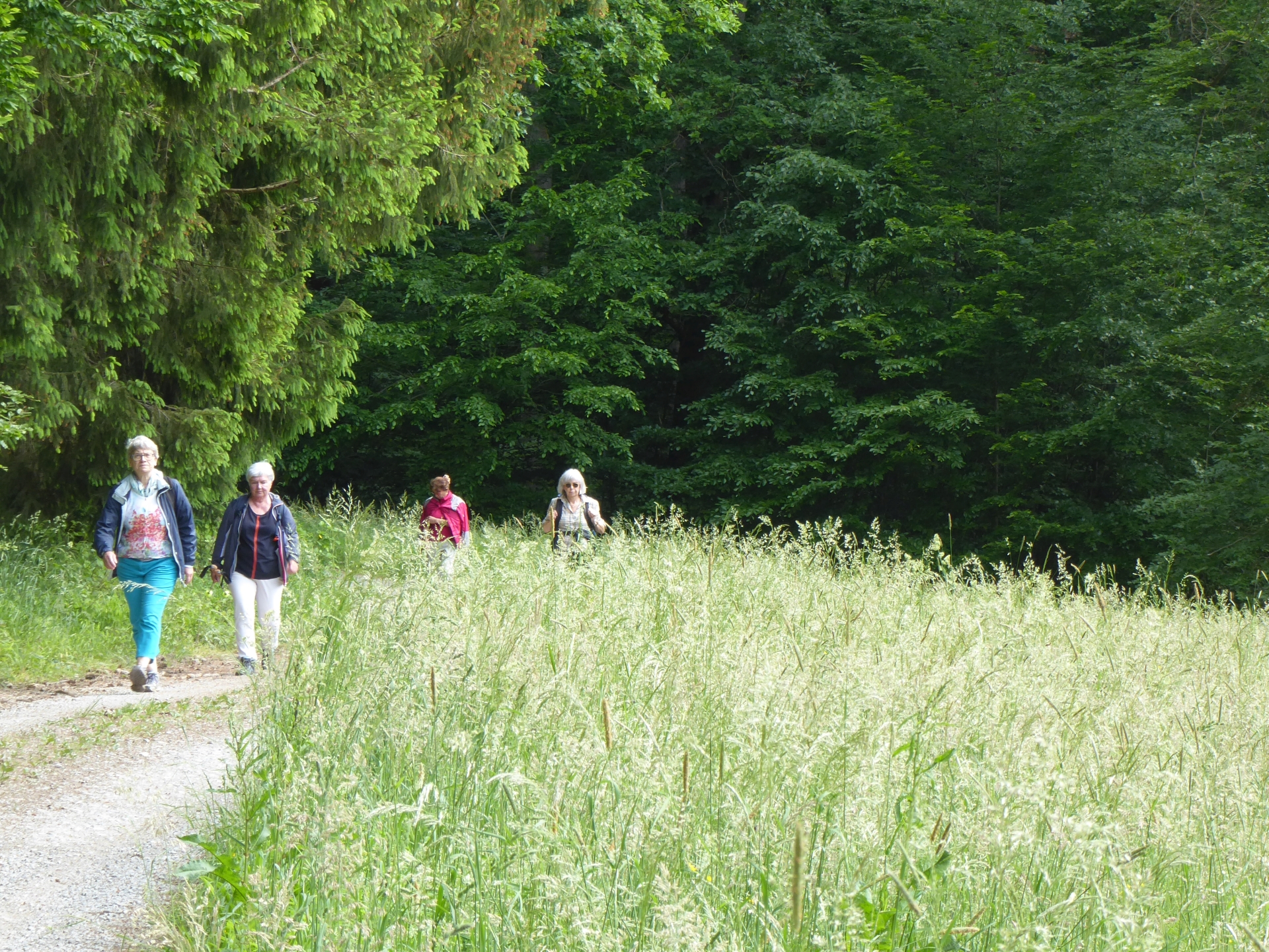 Was dem Leben Witz und Schwung verleiht - Stilleweg auf einer Tour der Reihe GangART mit Georg Magirius