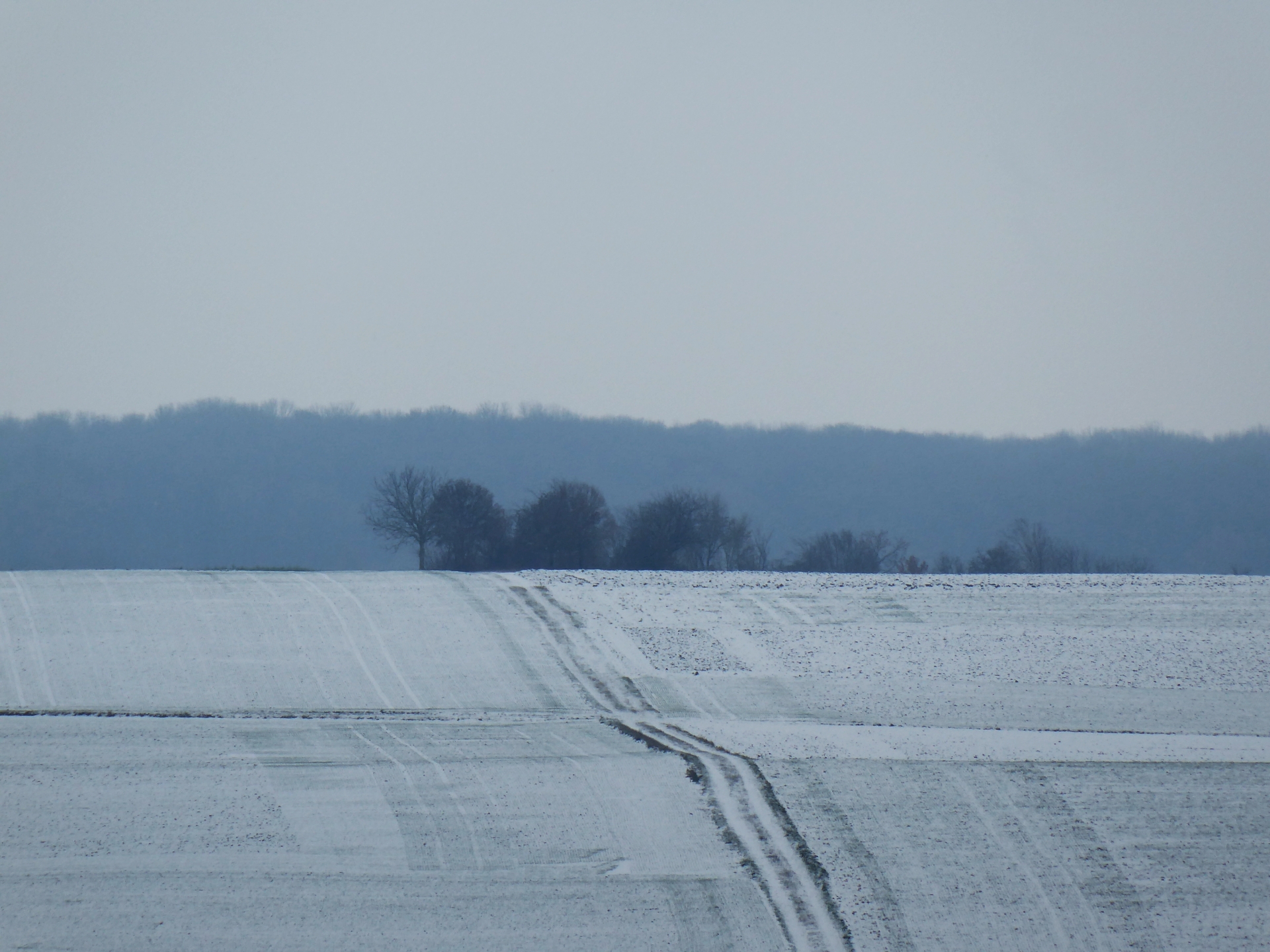 Stille und Schönheit einer Landschaft präsentiert Georg Magirius laut Otto Ziegemeiner von Theology.de in seinem Buch "Stilles Franken - 24 Adventsorte" - hier der Adventsort 22: Obernbreit