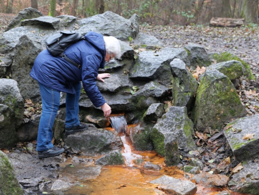 Die revolutionäre Kraft der Freundlichkeit