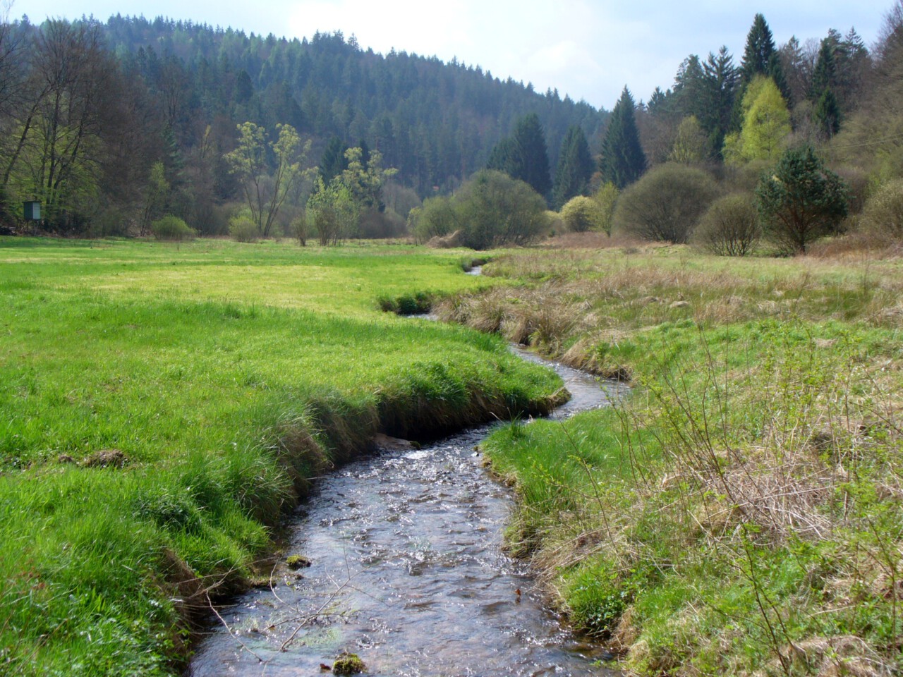 Unterlohrbach im Unterlohrgrund im Spessart