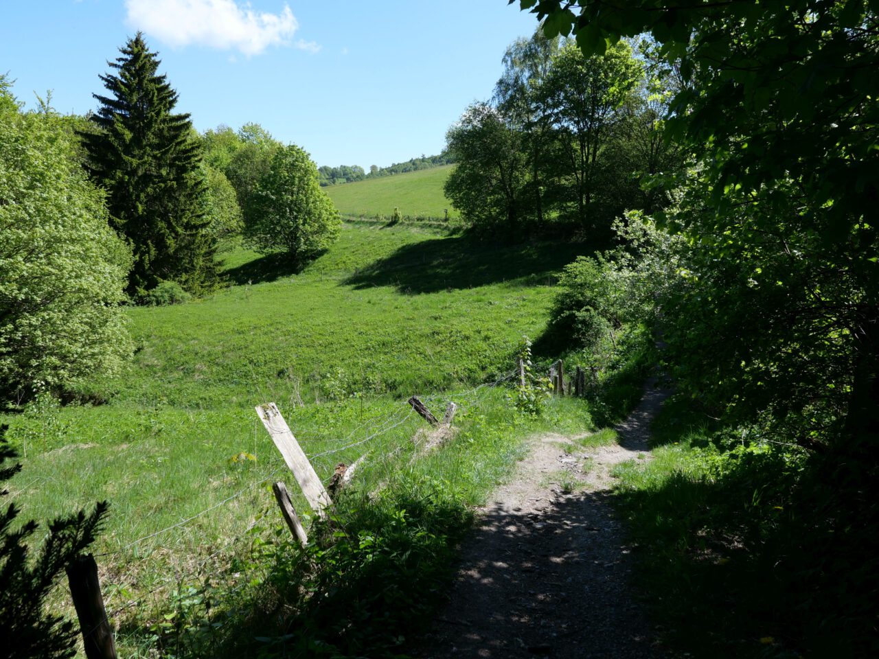 Pilgern in Hessen: Upländer Besinnungsweg bei Schwalefeld