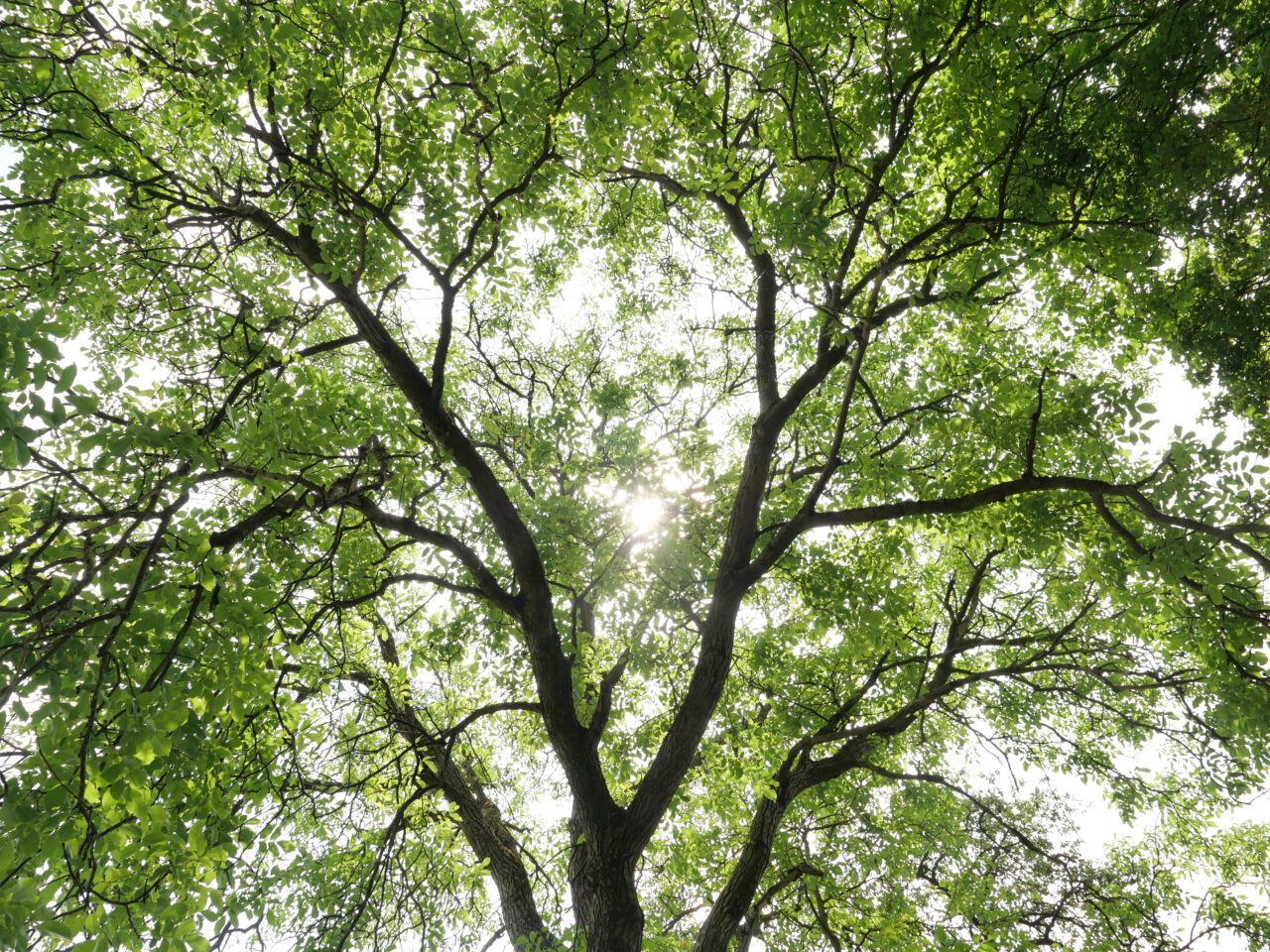 Vision von der therapiefreien Welt