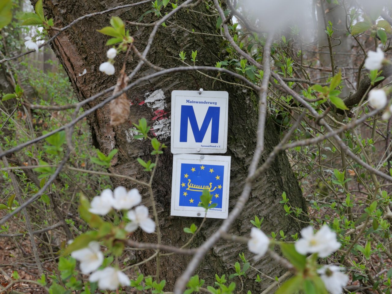 Die Gnade der Abkürzung