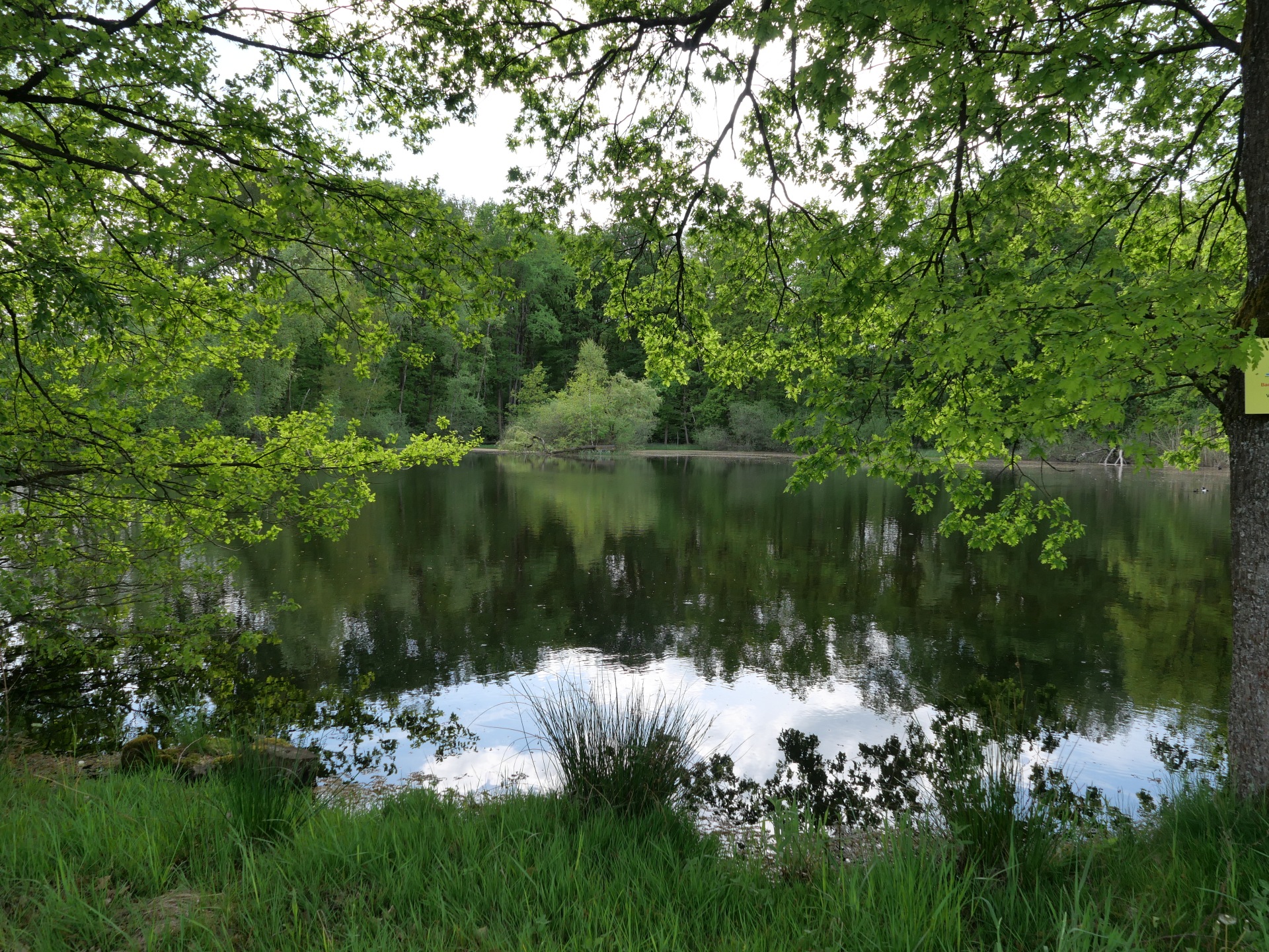 Wasser der Ruhe - Windseller See zwischen Bad Booklet und Münnerstadt in der Rhön - Foto (c) Georg Magirius