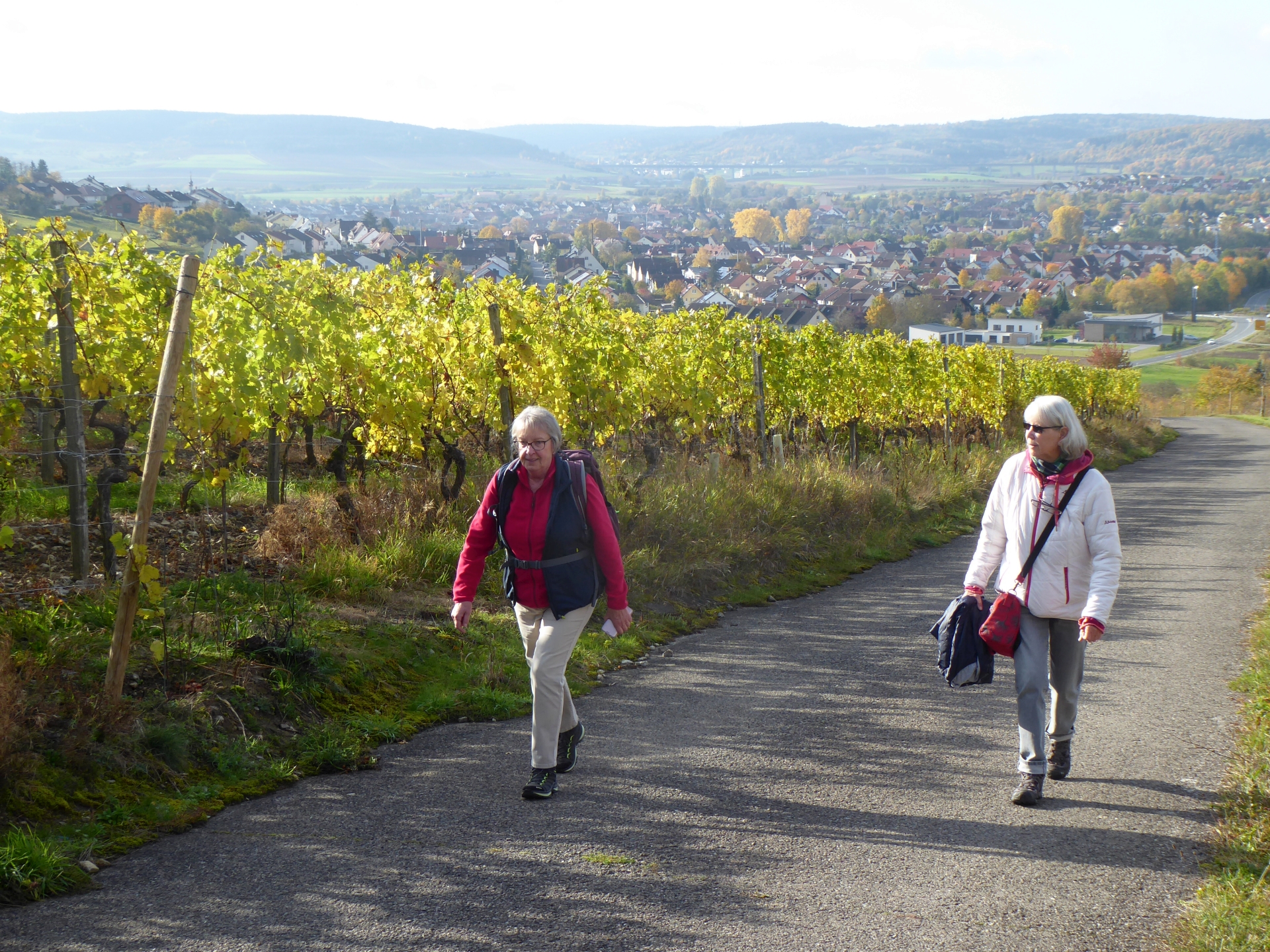 Retbacher Weinberge - Station der Tour Der kurze Weg zur Freude