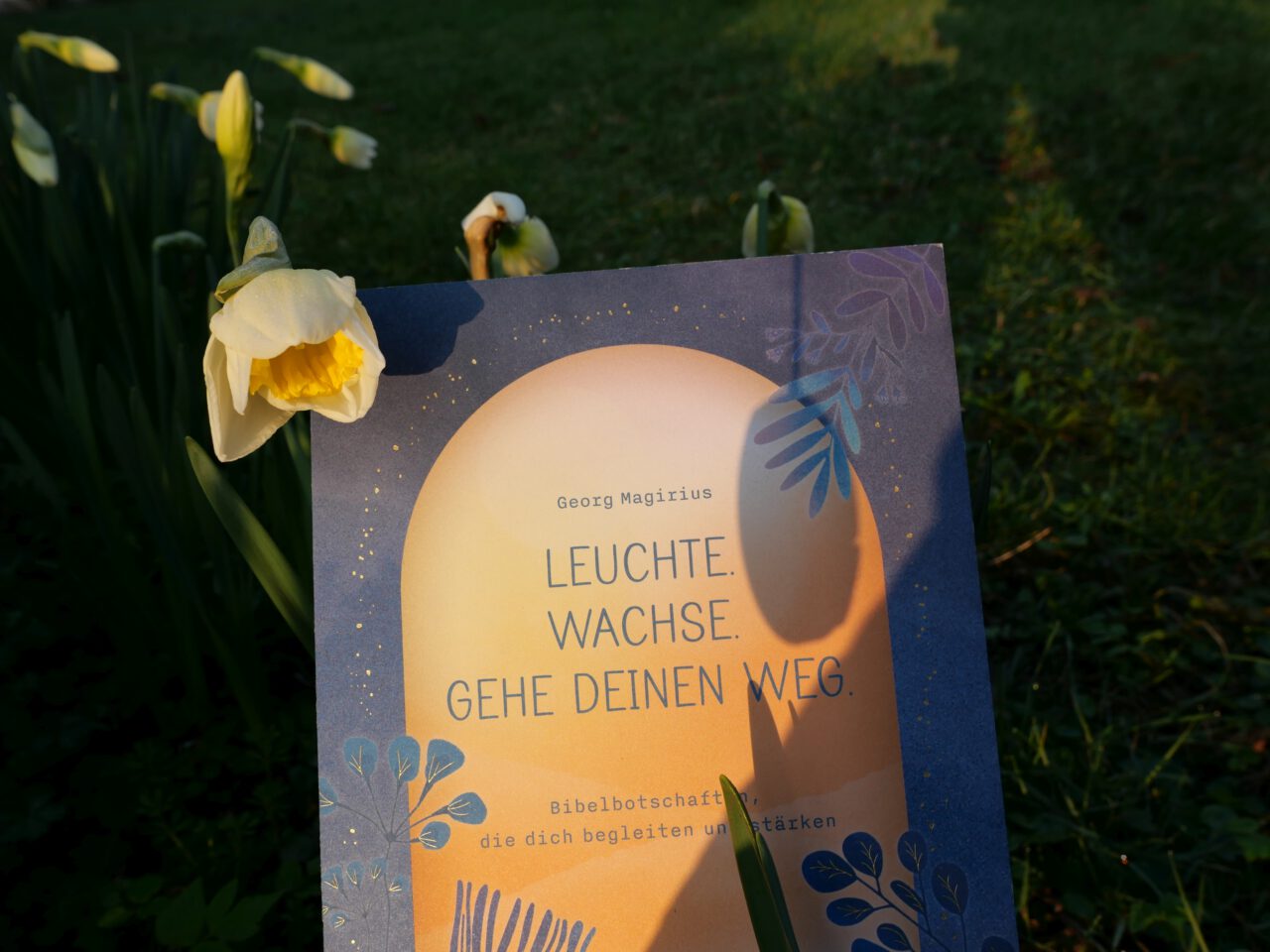 Leuchte. Wachse. Gehe deinen Weg - Foto (c) Georg Magirius
