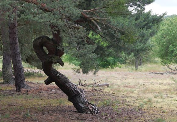 Wie Spiritualität widerstandsfähig macht