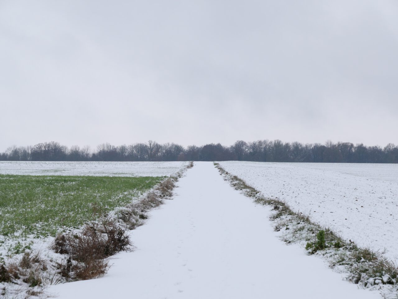 Winterwanderungen durch Franken