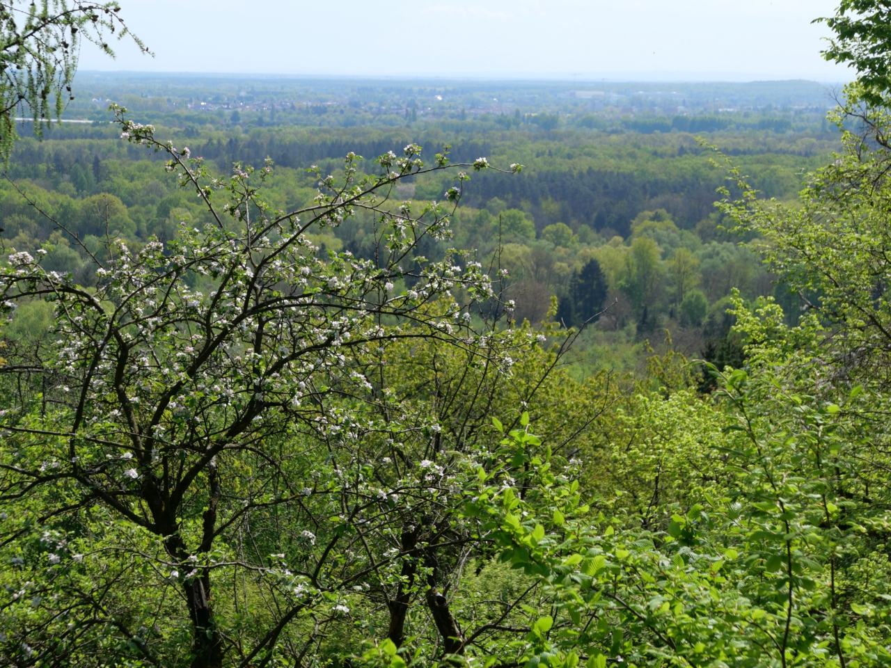 Gipfelglück im Flachland
