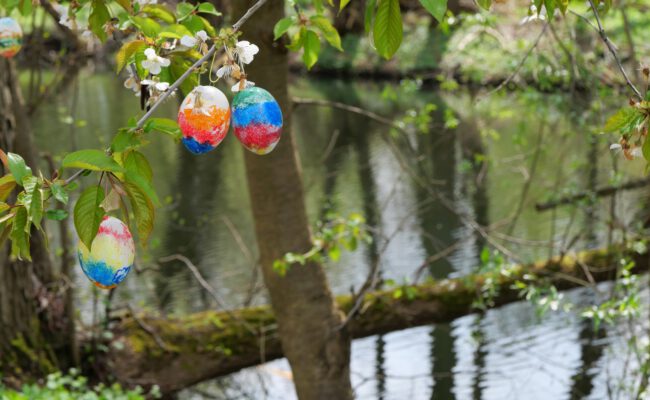 Frühlings-Wanderungen durch Franken